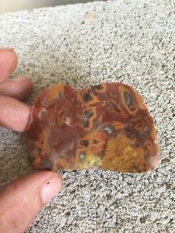 A Very Rare Agate From Wisconsin Polished A Collection Piece
