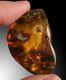 A Polished Piece Of Amber With Several Inclusions (possibly A Bee And A Wasp)