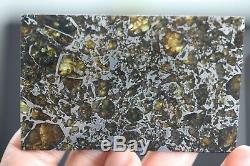 Admire meteorite etched slice translucent olivine crystals stable museum piece