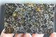 Admire Meteorite Etched Slice Translucent Olivine Crystals Stable Museum Piece