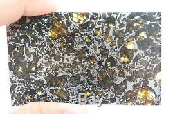 Admire meteorite etched slice translucent olivine crystals stable museum piece