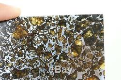 Admire meteorite etched slice translucent olivine crystals stable museum piece