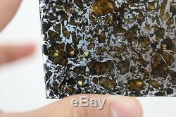 Admire meteorite etched slice translucent olivine crystals stable museum piece