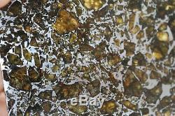 Admire meteorite etched slice translucent olivine crystals stable museum piece