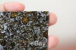Admire meteorite etched slice translucent olivine crystals stable museum piece