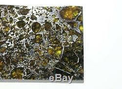 Admire meteorite etched slice translucent olivine crystals stable museum piece