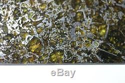 Admire meteorite etched slice translucent olivine crystals stable museum piece