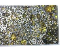 Admire meteorite etched slice translucent olivine crystals stable museum piece