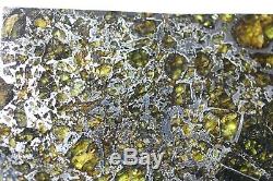 Admire meteorite etched slice translucent olivine crystals stable museum piece