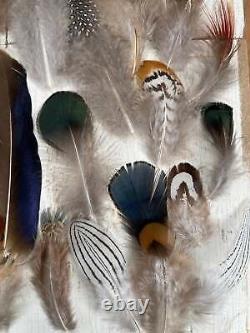 All Natural Feather Assortment, 50 Pieces mix Short 1.5-6.5 inches