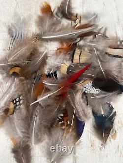 All Natural Feather Assortment, 50 Pieces mix Short 1.5-6.5 inches