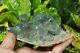 Amazing Himalayan Green Phantom Quartz 465 Gm Phantom Quartz Mineral Specimen