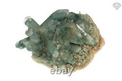 Amazing Himalayan Green Phantom Quartz 465 gm Phantom Quartz Mineral Specimen