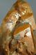 Astrophyllite Included Golden Quartz Crystal Cluster Aesthetic Collectable Piece