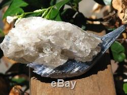 Awesome Kyanite Crystal Formation in Quartz Special Find Great Display Piece