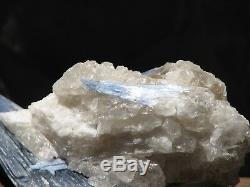 Awesome Kyanite Crystal Formation in Quartz Special Find Great Display Piece