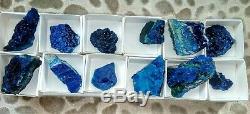 Azurite specimens flat of 12pieces