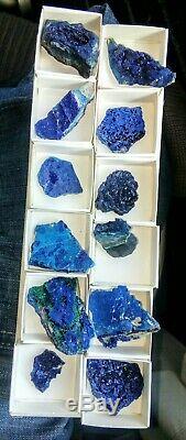 Azurite specimens flat of 12pieces