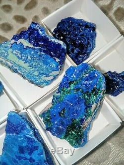 Azurite specimens flat of 12pieces