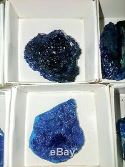 Azurite specimens flat of 12pieces