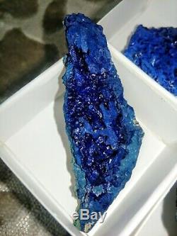 Azurite specimens flat of 12pieces