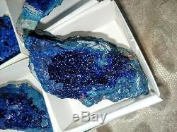 Azurite specimens flat of 12pieces