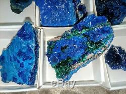 Azurite specimens flat of 12pieces