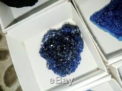 Azurite specimens flat of 12pieces