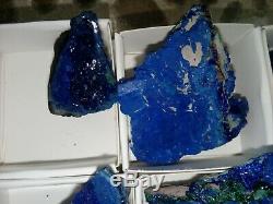 Azurite specimens flat of 12pieces