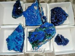 Azurite specimens flat of 12pieces