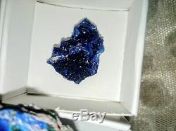 Azurite specimens flat of 12pieces