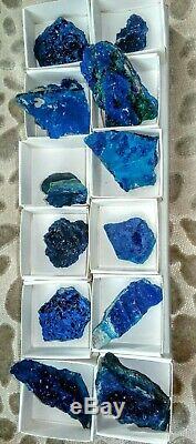 Azurite specimens flat of 12pieces