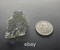 Besednice Moldavite Crystal 9.58gr/47.9ct High Grade Collector Piece Hedgehog