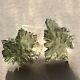 Besednice Moldavite Lot 6.38g, 31.9ct 9 Small Pieces Free Amethyst Crystal