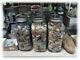 Big Jar Australian Opal Rough With Fossil Shell Pieces Mixed Grades Lot
