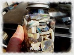 Big Jar Australian Opal Rough With Fossil Shell Pieces Mixed Grades Lot