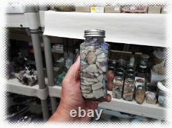 Big Jar Australian Opal Rough With Fossil Shell Pieces Mixed Grades Lot