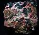 Big Piece Crystallized Eudialyte Big Xtals Thruout! Kippawa, Quebec, Canada #bk6