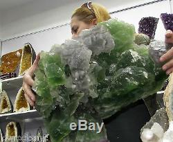 Biggest CUBIC FLUORITE TREE Mineral 41 Kgs = 90Lbs COLLECTOR PIECE
