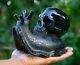 Black Obsidian Crystal Skull Snail Large Hand Carved 7.5 One Of A Kind Piece