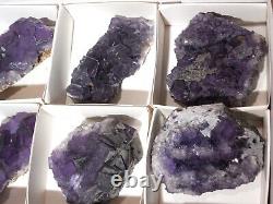 Black Tourmaline Erongo Lapis Lazuli Tumbles Purple Fluorite Wholesale 33 Pieces