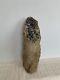 Blue Forest Petrified Wood Limb Cast, Stand Up Display Piece (wyoming)