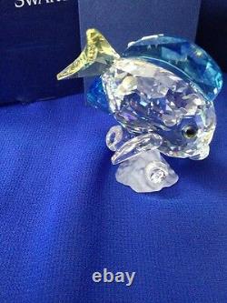 Blue Tang Fish, Colored, Trilogy Gift, Swarovski Crystal Member Piece #0886180