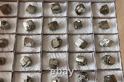 Bulgarian mineral specimens Pyrite lot of 36 pieces 21 25mm