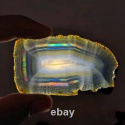 Bulk 20 Pieces Iris Rainbow Agate Slice Beautiful Indonesia Rainbow Iris Agate