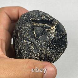 COLOMBIANITE TEKTITE HIGHEST QUALITY 1 PIECE 443.49 grams / 15.644 oz