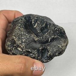 COLOMBIANITE TEKTITE HIGHEST QUALITY 1 PIECE 443.49 grams / 15.644 oz