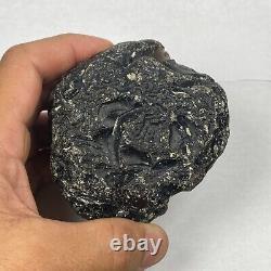 COLOMBIANITE TEKTITE HIGHEST QUALITY 1 PIECE 443.49 grams / 15.644 oz