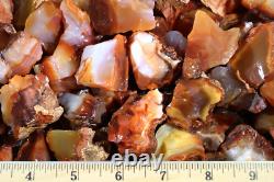 Carnelian Rough Rocks for Tumbling Madagascar Crystals Bulk Wholesale 1LB