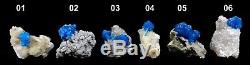 Cavansite blue crystals (24 pieces Flat) Natural Mineral Specimen # Flat 04